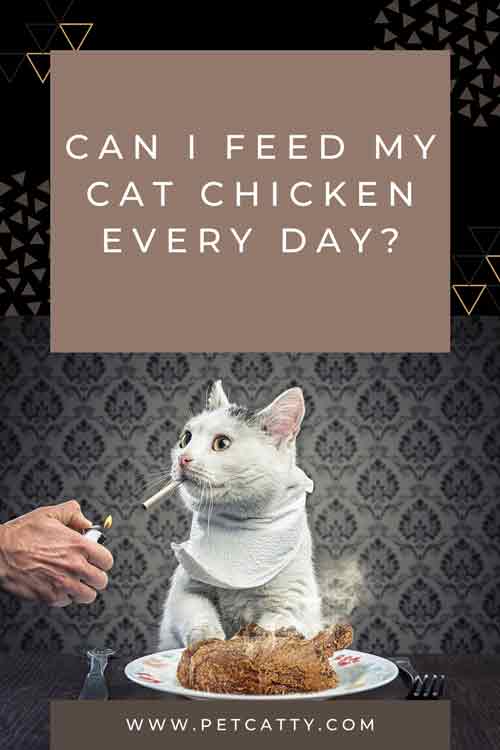 can i feed my cat chicken every day?