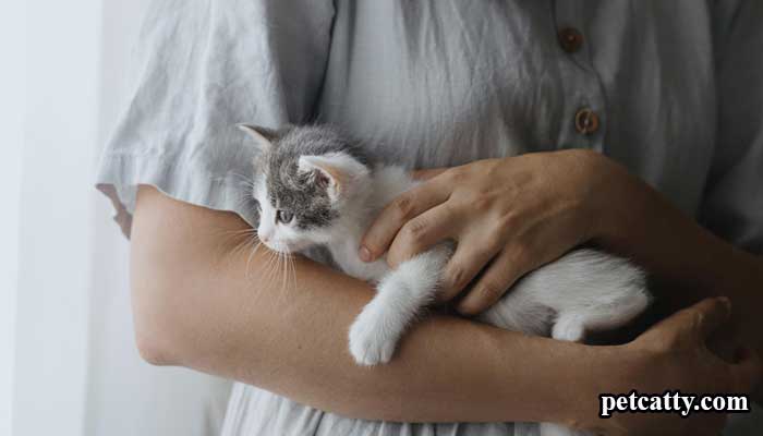 Do Cats Know When You Are Sick?