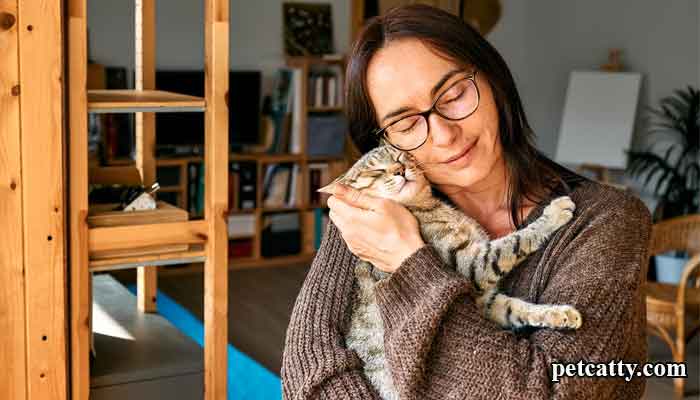 Do Cats Recognize Their Owners?