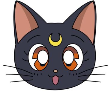 What is the name of sailor moon's cat