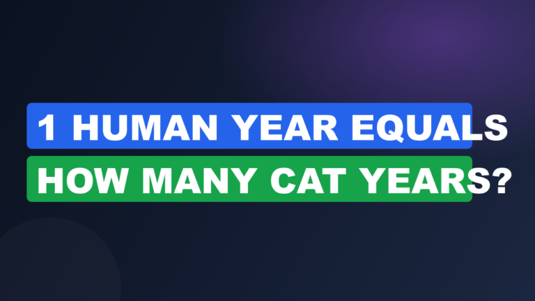 1 Human Year Equals How Many Cat Years?