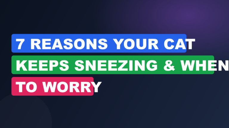 7 Reasons Your Cat Keeps Sneezing & When to Worry