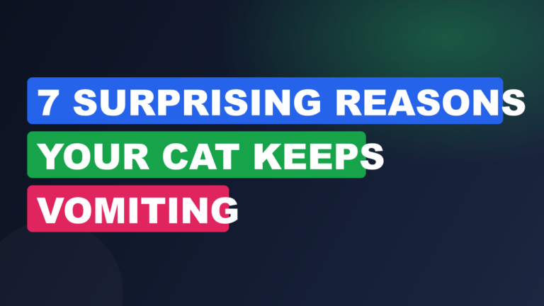 7 Surprising Reasons Your Cat Keeps Vomiting