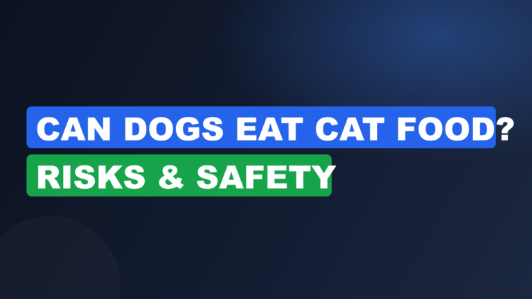 Can Dogs Eat Cat Food? Risks & Safety