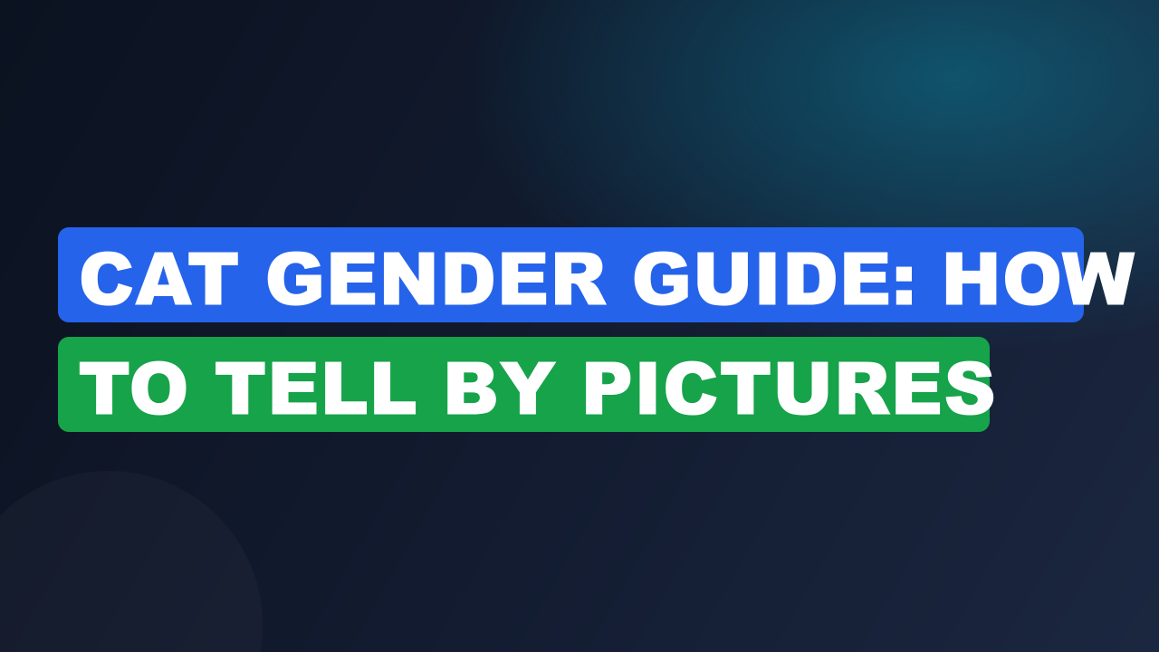 Cat Gender Guide: How to Tell by Pictures