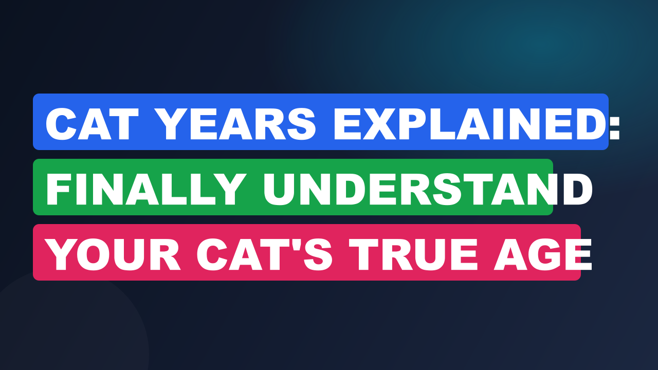 Cat Years Explained: Finally Understand Your Cat's True Age