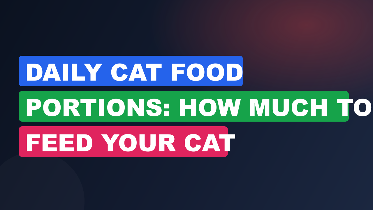 Daily Cat Food Portions: How Much to Feed Your Cat