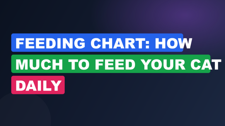 Feeding Chart: How Much to Feed Your Cat Daily