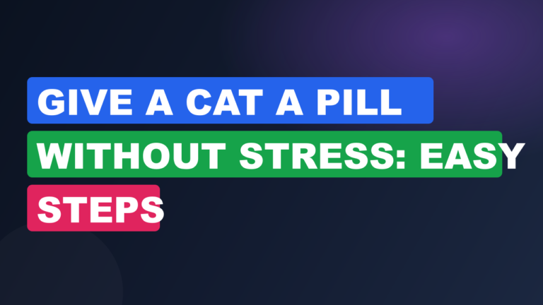 Give a Cat a Pill Without Stress: Easy Steps
