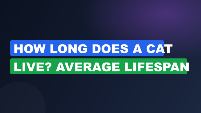 How Long Does a Cat Live? Average Lifespan
