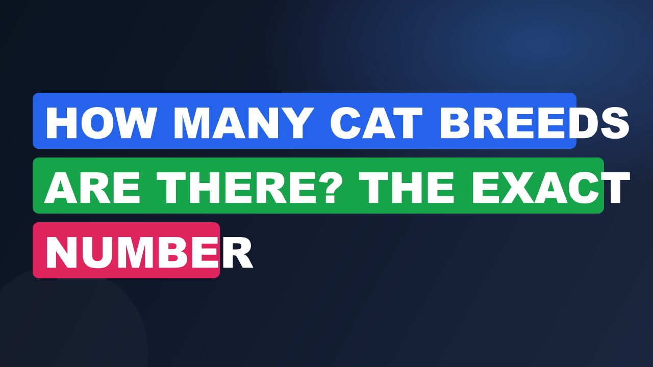 How Many Cat Breeds Are There? The Exact Number