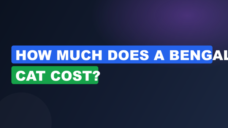How Much Does a Bengal Cat Cost?