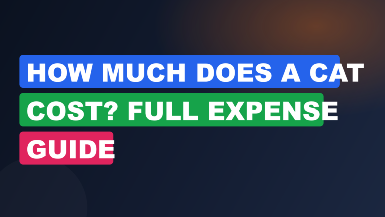 How Much Does a Cat Cost? Full Expense Guide