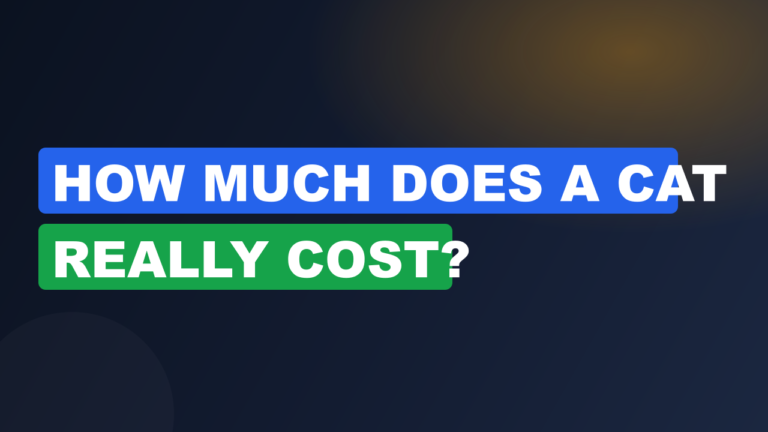How Much Does a Cat Really Cost?
