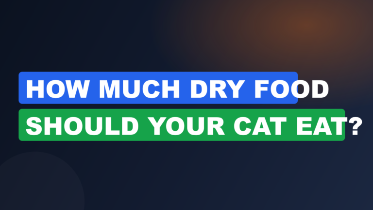 How Much Dry Food Should Your Cat Eat?