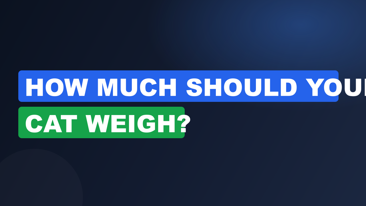 How Much Should Your Cat Weigh?