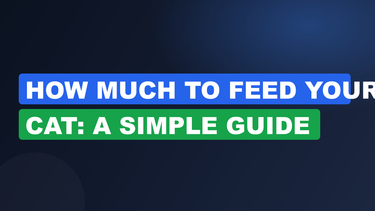 How Much to Feed Your Cat: A Simple Guide