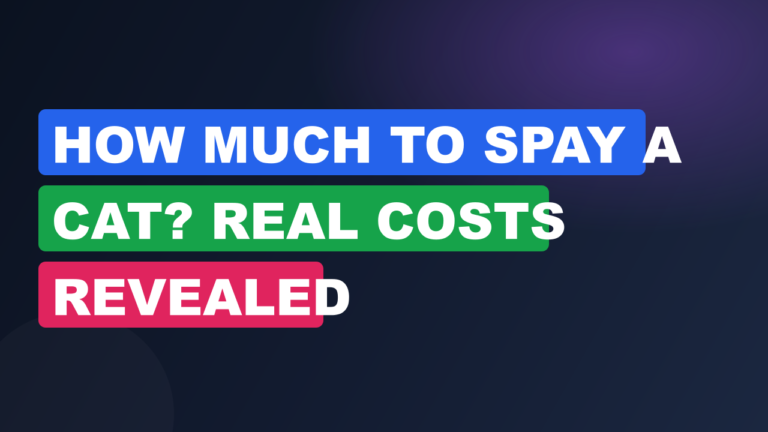 How Much to Spay a Cat? Real Costs Revealed