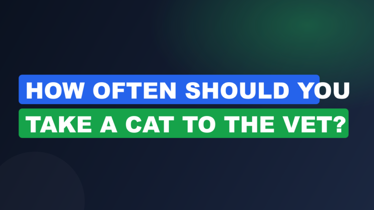How Often Should You Take a Cat to the Vet?