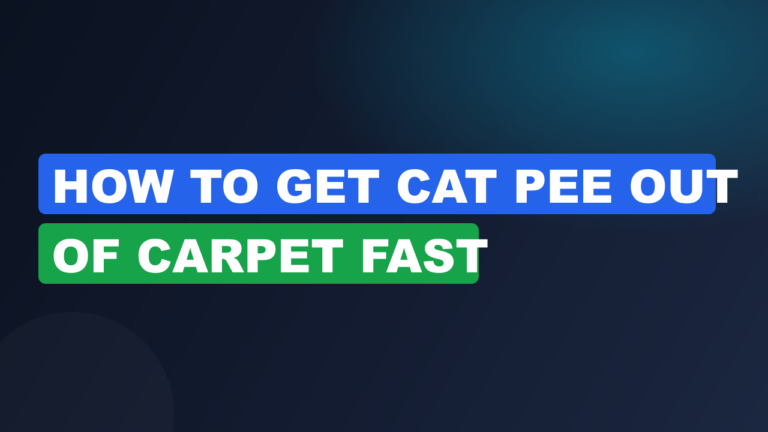 How to Get Cat Pee Out of Carpet Fast