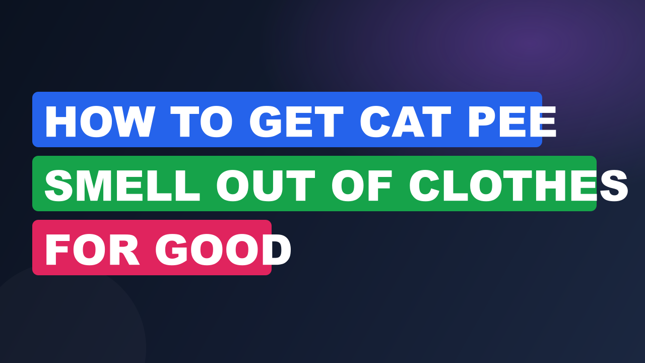 How to Get Cat Pee Smell Out of Clothes for Good