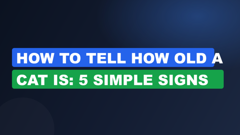 How to Tell How Old a Cat Is: 5 Simple Signs