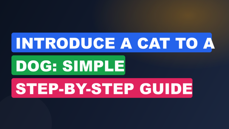 Introduce a Cat to a Dog: Simple Step-by-Step Guide