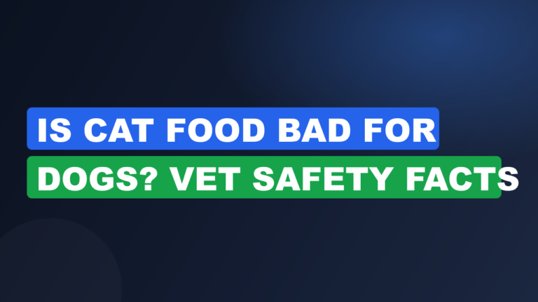 Is Cat Food Bad for Dogs? Vet Safety Facts