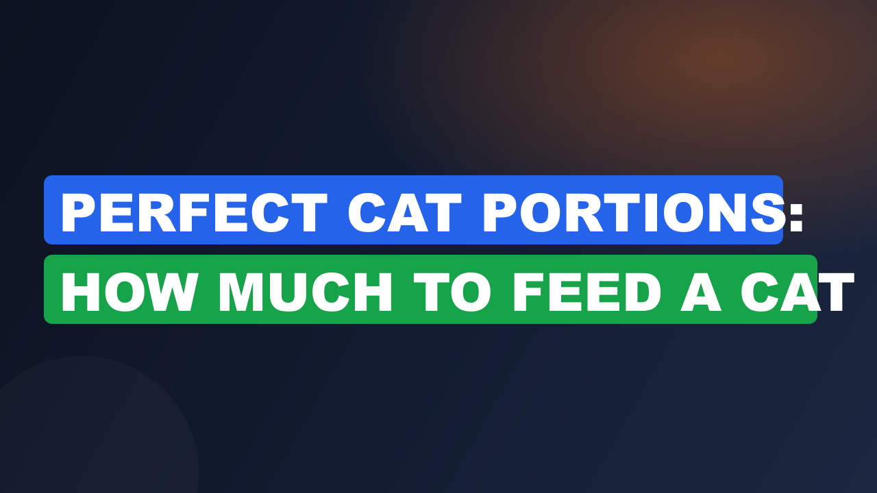 Perfect Cat Portions: How Much to Feed a Cat