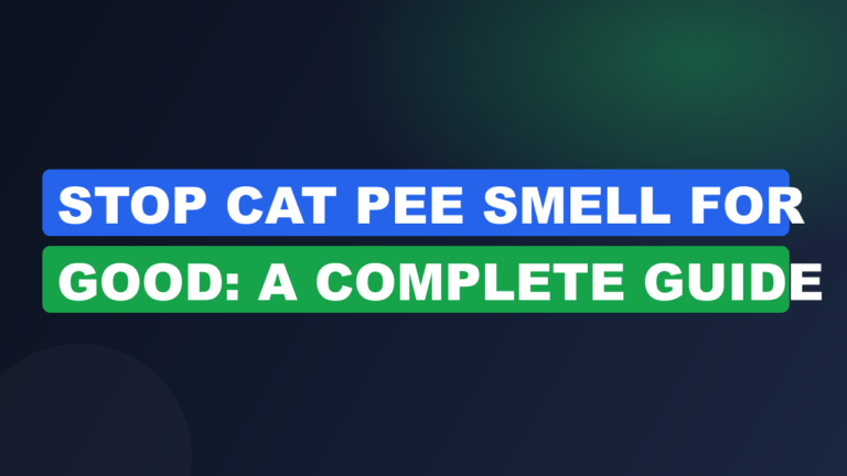 Stop Cat Pee Smell for Good: A Complete Guide