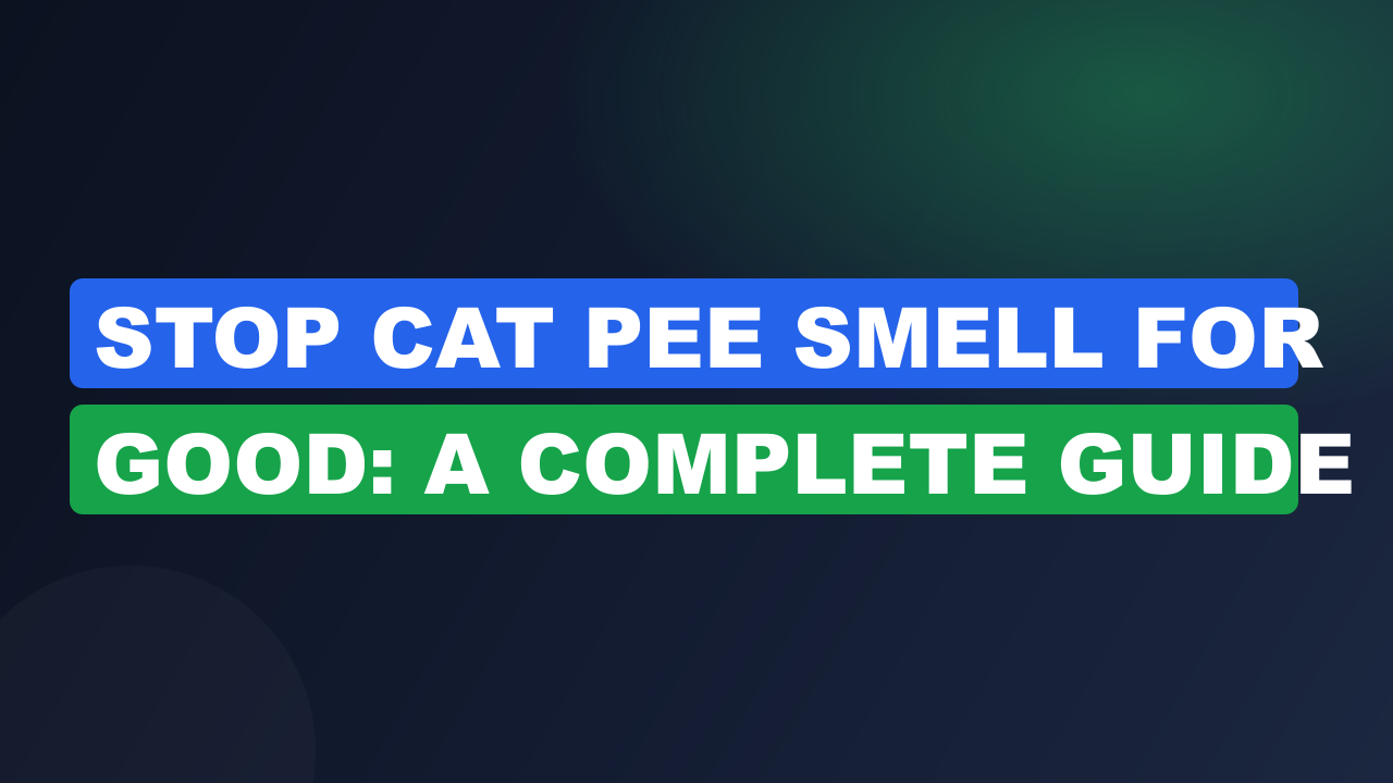Stop Cat Pee Smell for Good: A Complete Guide