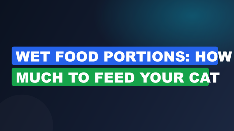 Wet Food Portions: How Much to Feed Your Cat