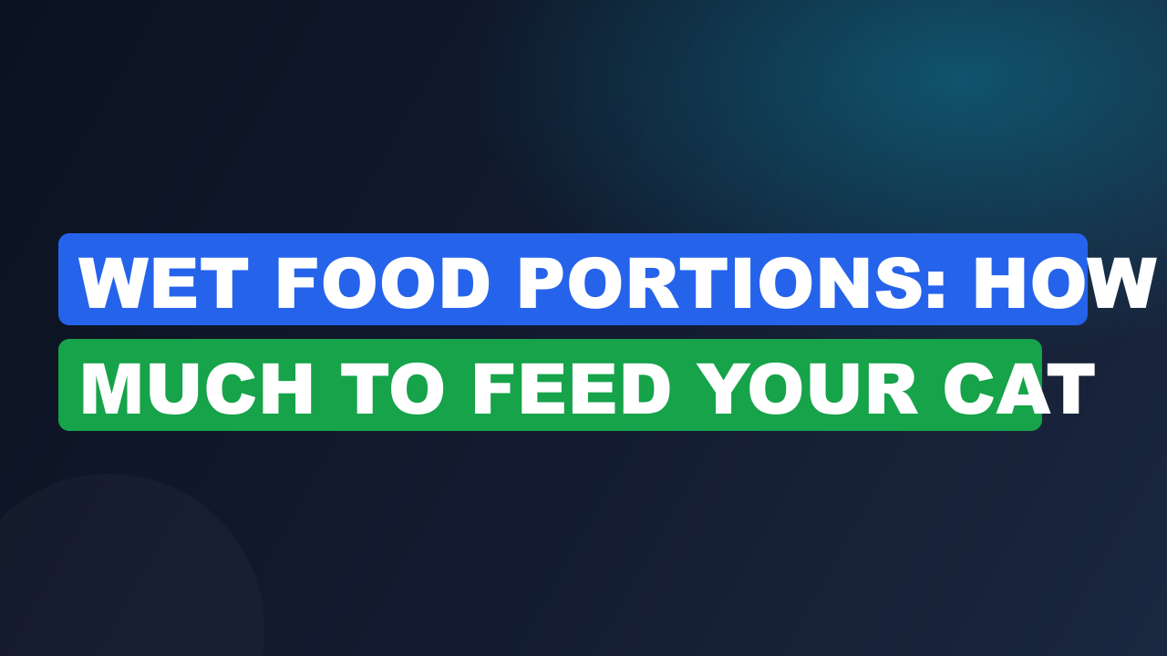 Wet Food Portions: How Much to Feed Your Cat