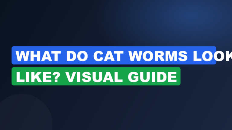 What Do Cat Worms Look Like? Visual Guide