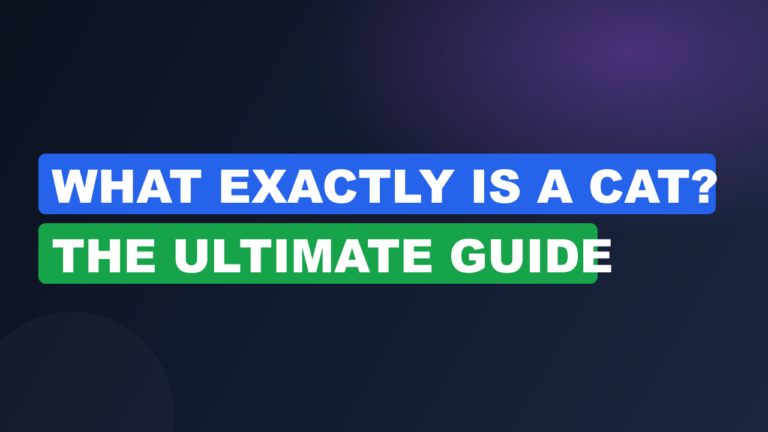 What Exactly Is a Cat? The Ultimate Guide
