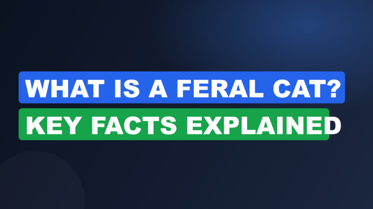What Is a Feral Cat? Key Facts Explained