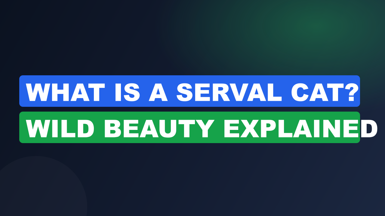 What Is a Serval Cat? Wild Beauty Explained