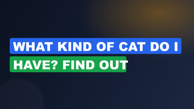 What Kind of Cat Do I Have? Find Out