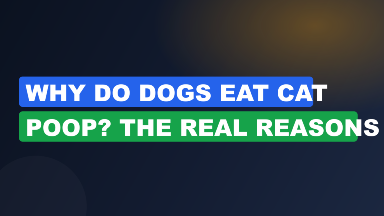 Why Do Dogs Eat Cat Poop? The Real Reasons