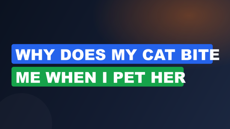 Why Does My Cat Bite Me When I Pet Her