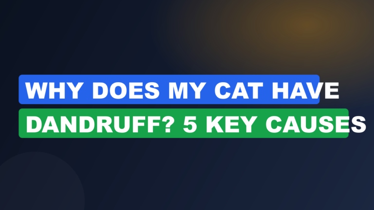 Why Does My Cat Have Dandruff? 5 Key Causes