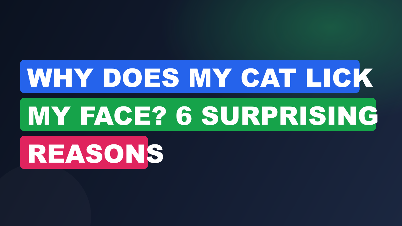 Why Does My Cat Lick My Face? 6 Surprising Reasons