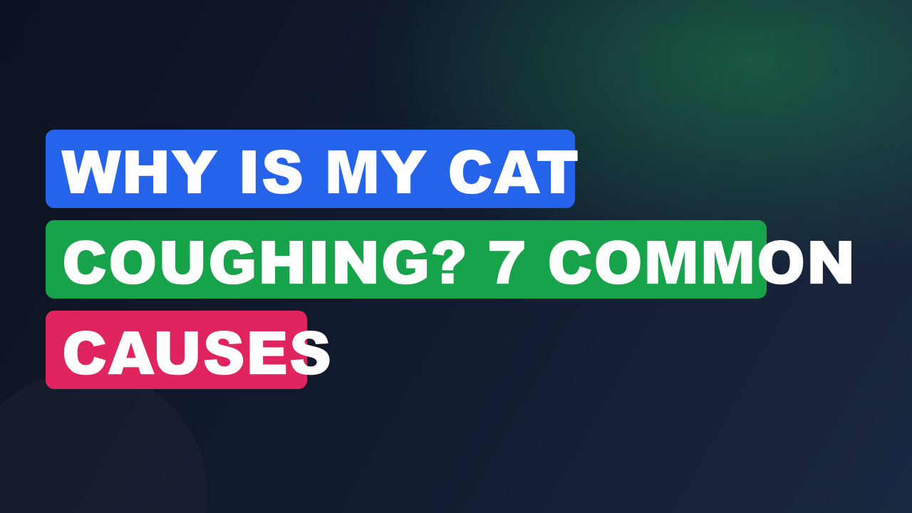 Why Is My Cat Coughing? 7 Common Causes