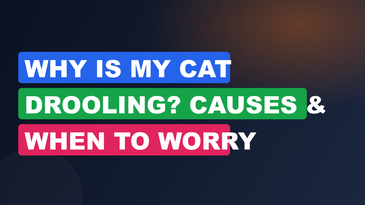 Why Is My Cat Drooling? Causes & When to Worry