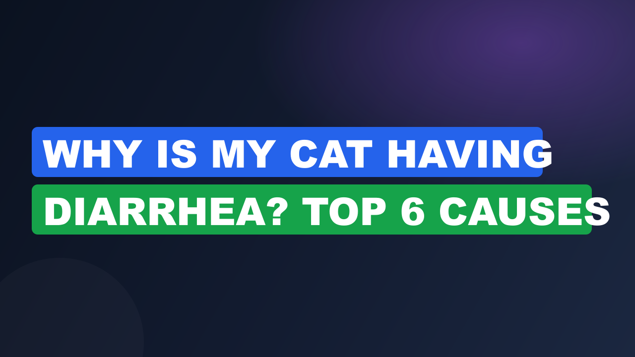 Why Is My Cat Having Diarrhea? Top 6 Causes