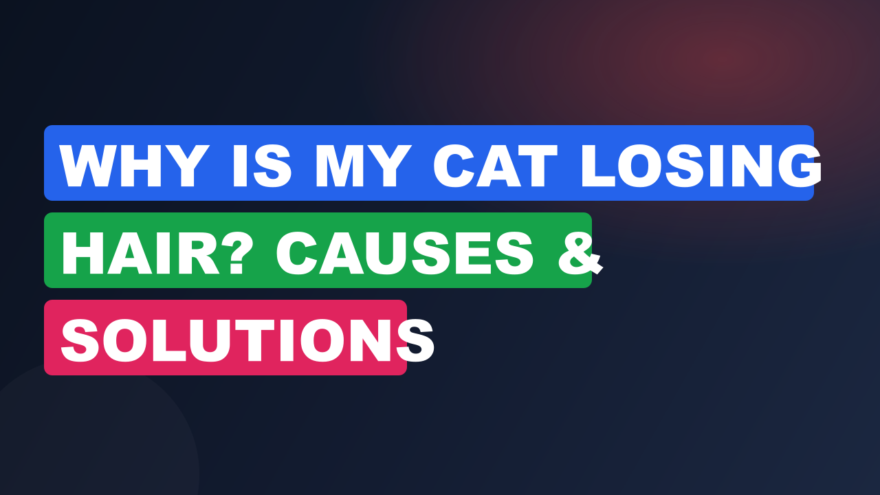 Why Is My Cat Losing Hair? Causes & Solutions