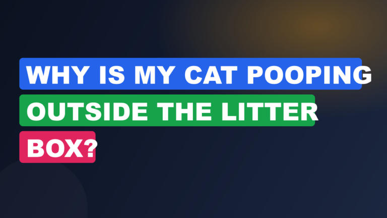 Why Is My Cat Pooping Outside the Litter Box?