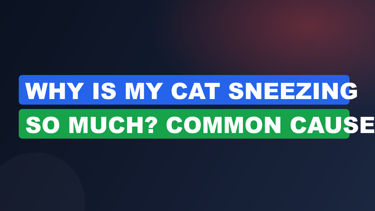Why Is My Cat Sneezing So Much? Common Causes