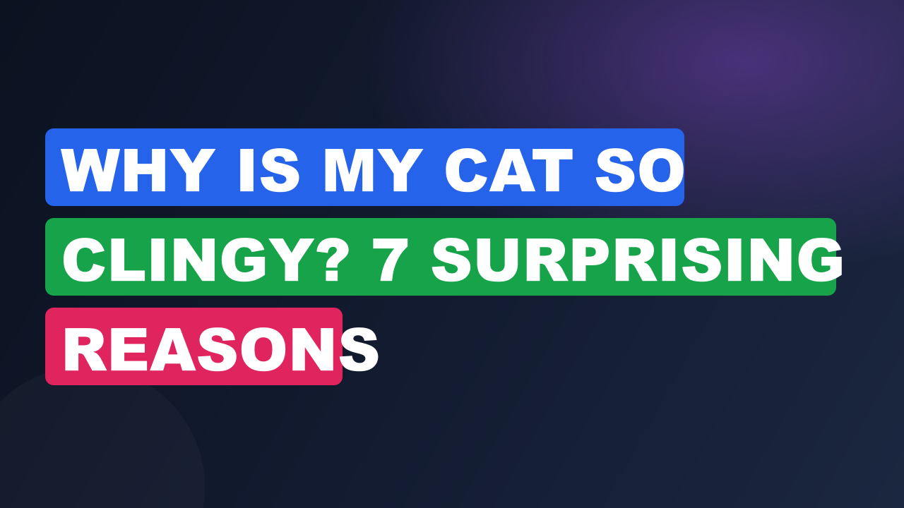 Why Is My Cat So Clingy? 7 Surprising Reasons