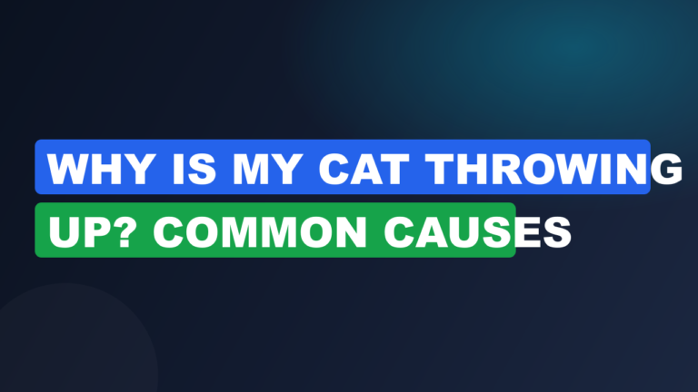 Why Is My Cat Throwing Up? Common Causes